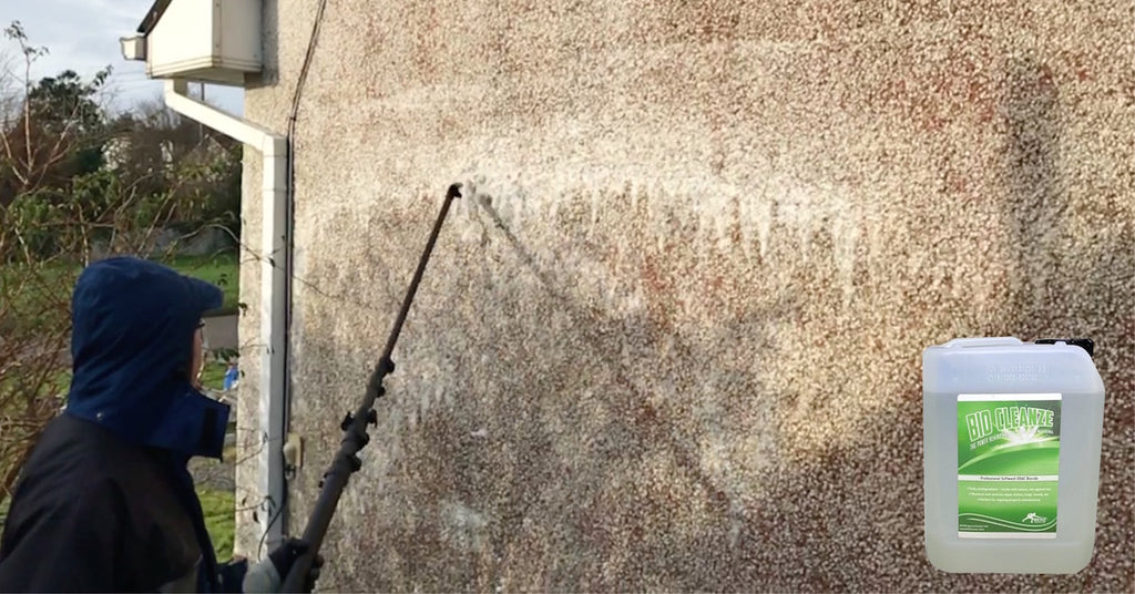 Soft washing pebbledash (dry dash) wall render