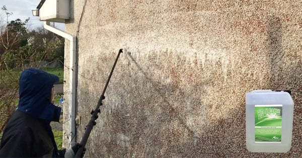 Pebble dash spray deals gun