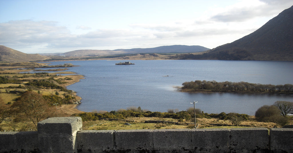 Soft washing near river & stream