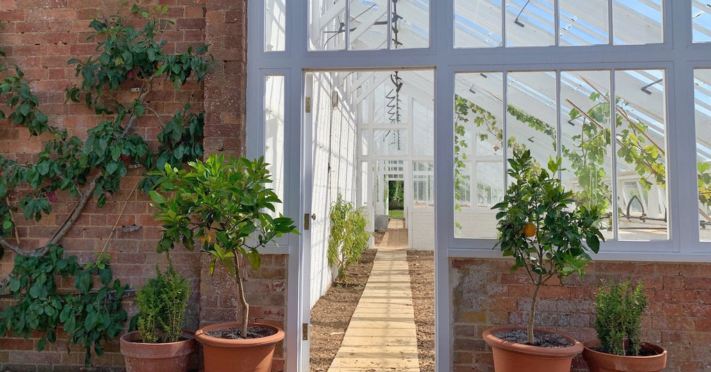 Can soft washing damage self-cleaning conservatory glass?