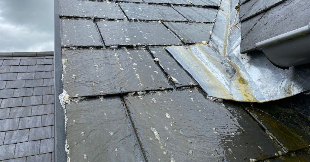 Capillary action – the power behind Benz Bio Cleanze