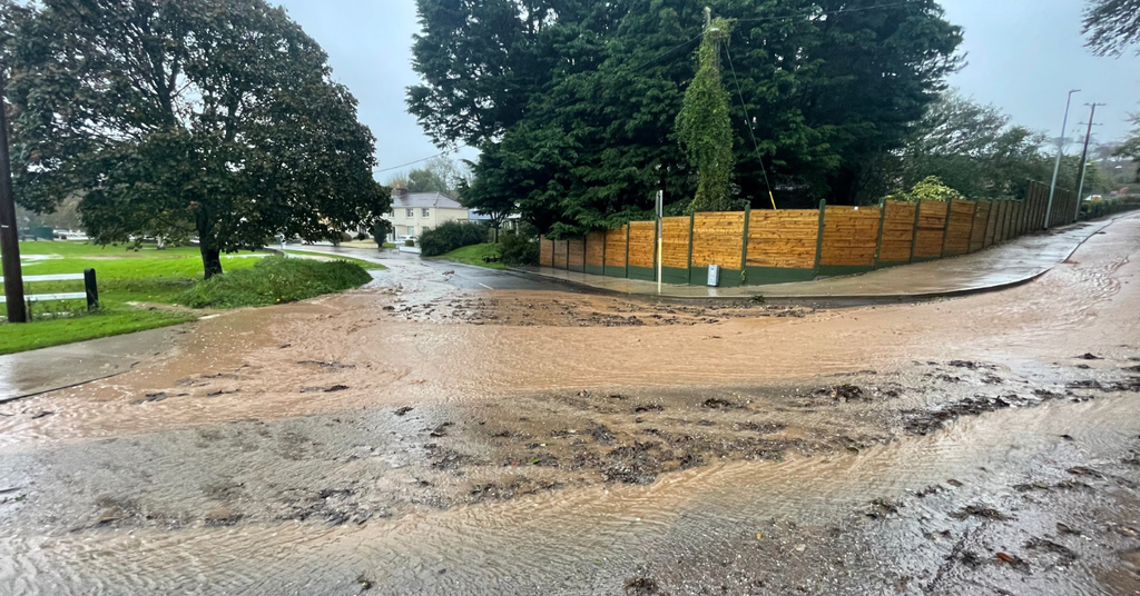 Why is it important to stop soft washing run-off entering drains?