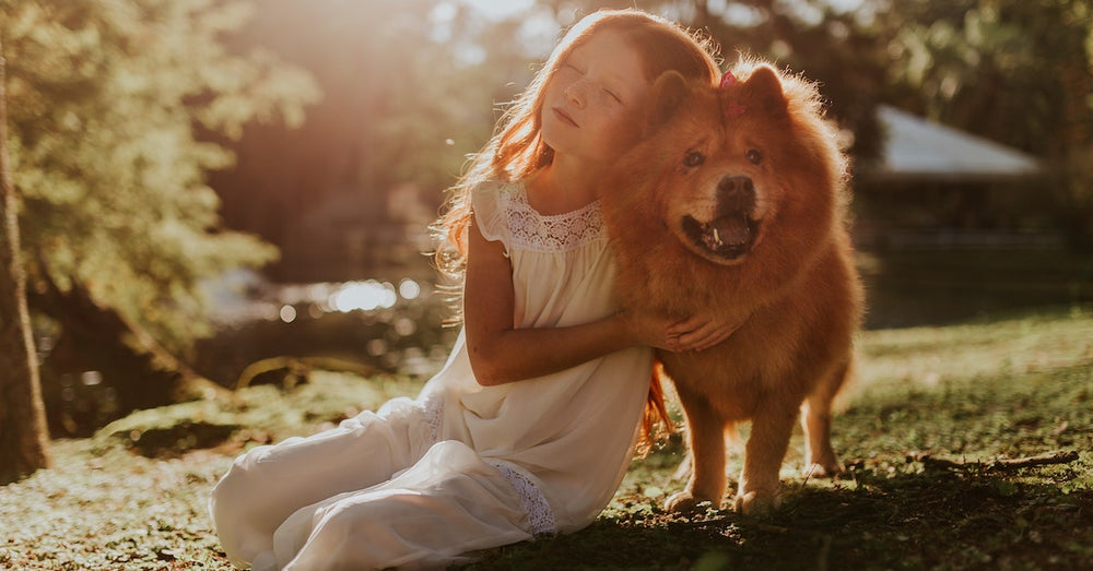 How to keep humans and animals safe when soft washing