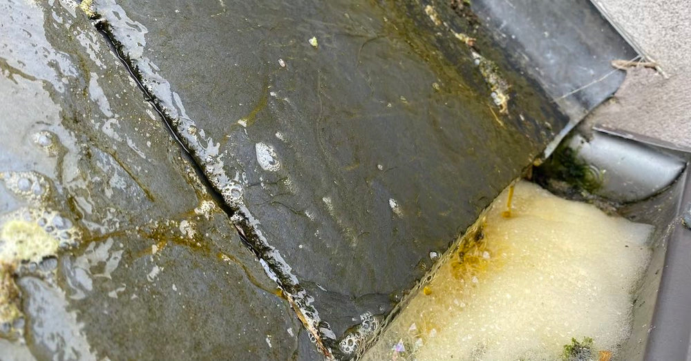 How to stop run-off from soft washing roofs polluting water butts & rainwater harvesting systems