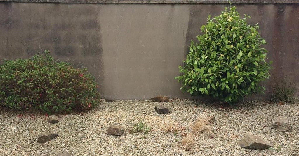 Shadow stain remaining after soft washing