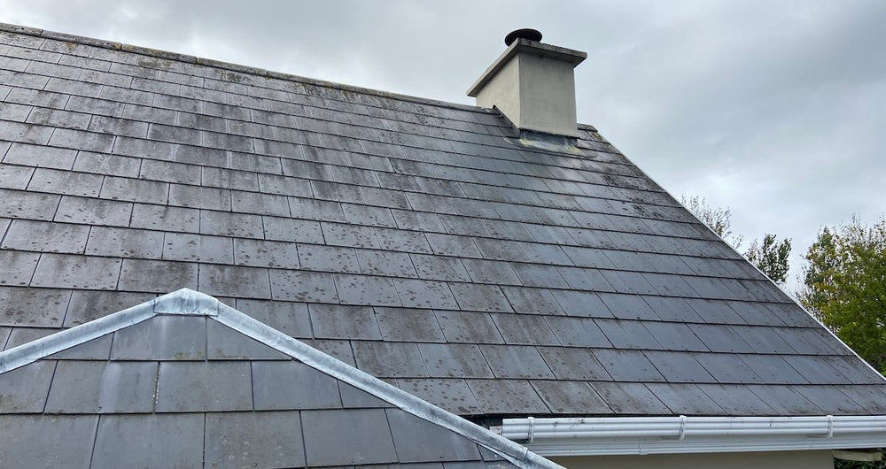 Soft washing a roof from algae, lichen, mold & moss