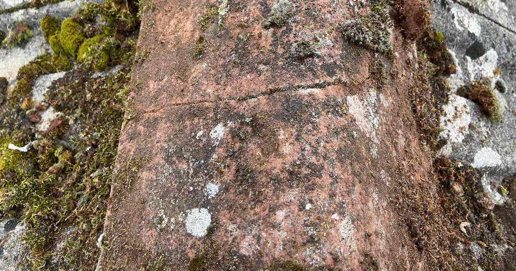 What's the best way to kill & control moss by soft washing?