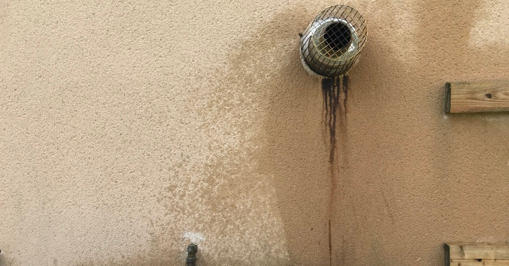 How to remove rust stains from painted render (video)