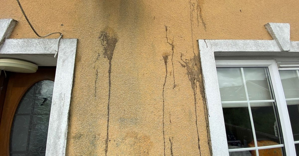 How to remove egg stains from render