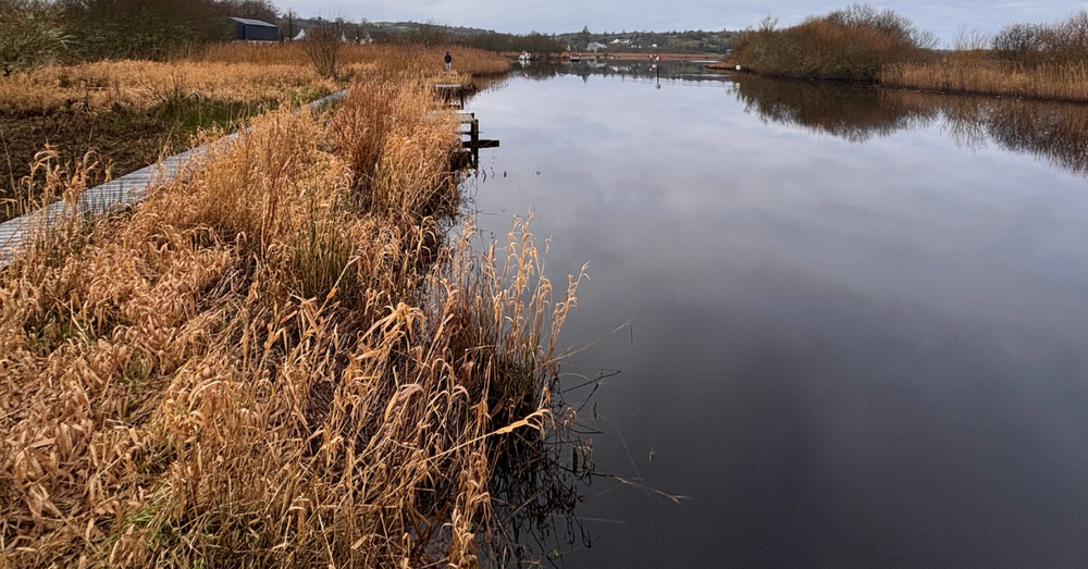 Why softwash run-off should NEVER be directed into a septic tank or reed bed