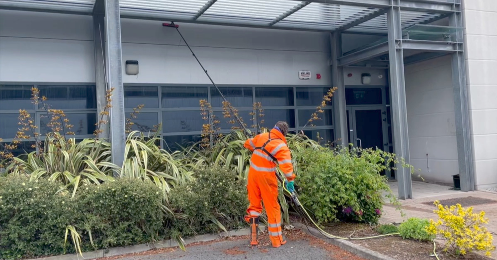 How to prevent harm to plant life when soft washing (video)
