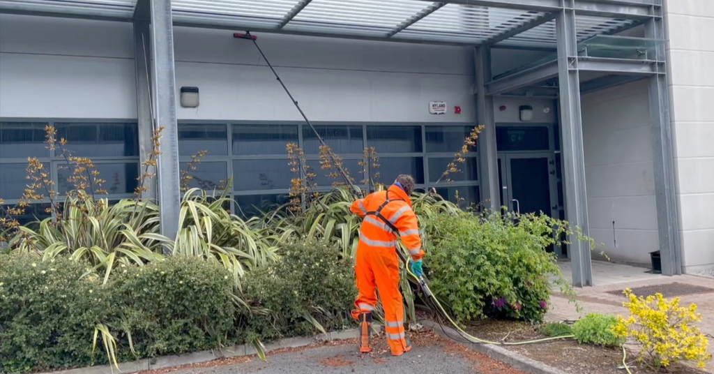 How to prevent harm to plant life when soft washing (video)