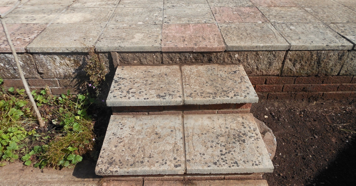 How to remove lichen (including "black spot") from concrete, brick, render & tiles