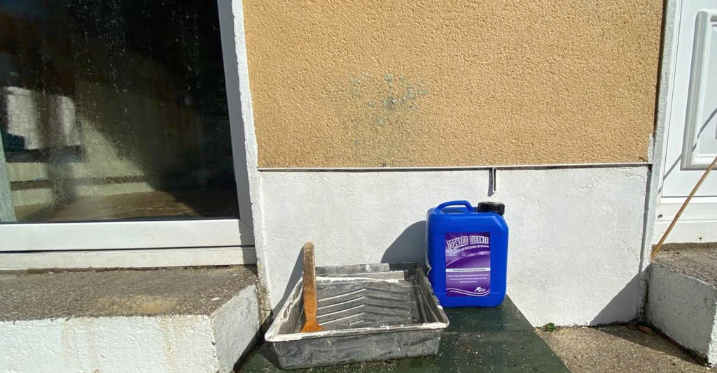 How to use Benz Tornado Cleanze to remove lichen stains from wall render (video)