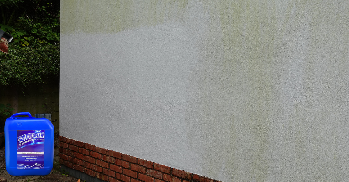 Painted render